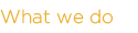 what we do
